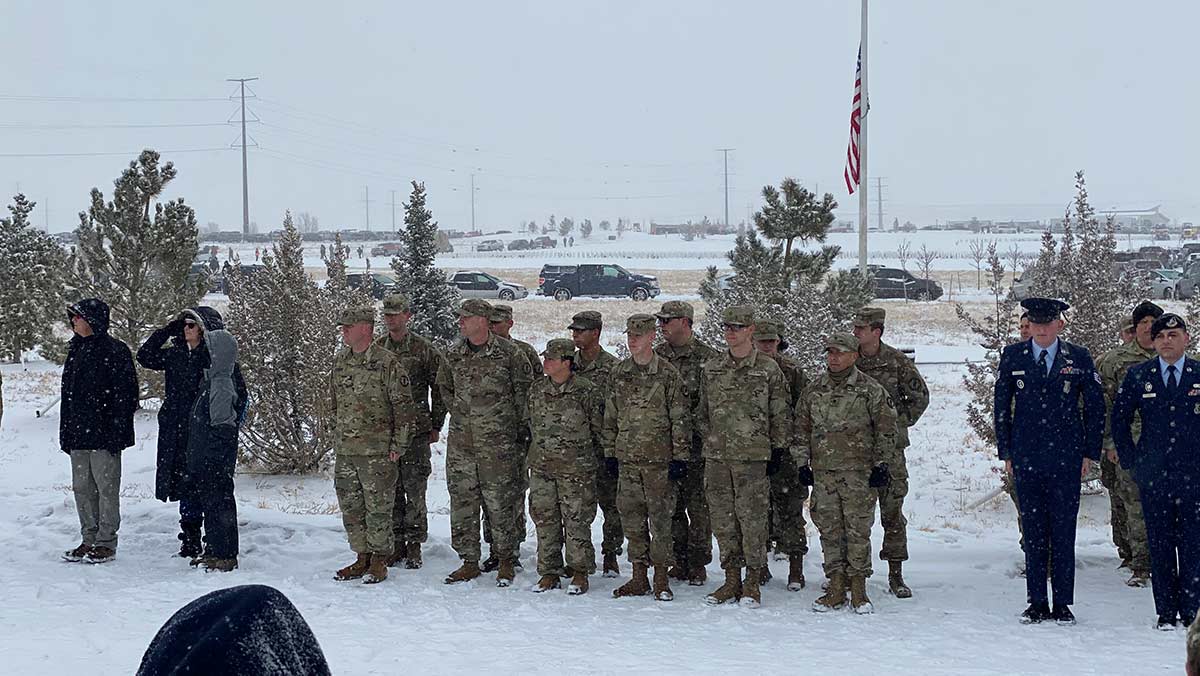 Image - Vet 2 web.jpg