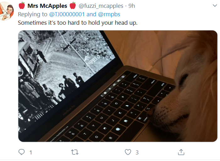 Image - dog tweet 2.PNG