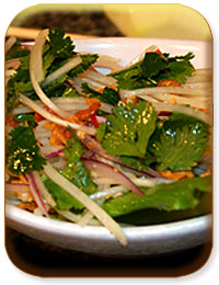 Green Papaya Salad Recipe
