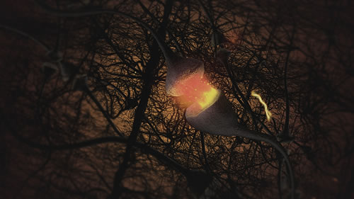 Neuron