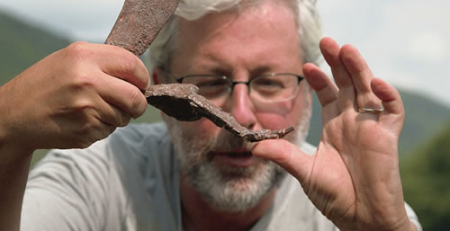 Tiktaalik wrist bones