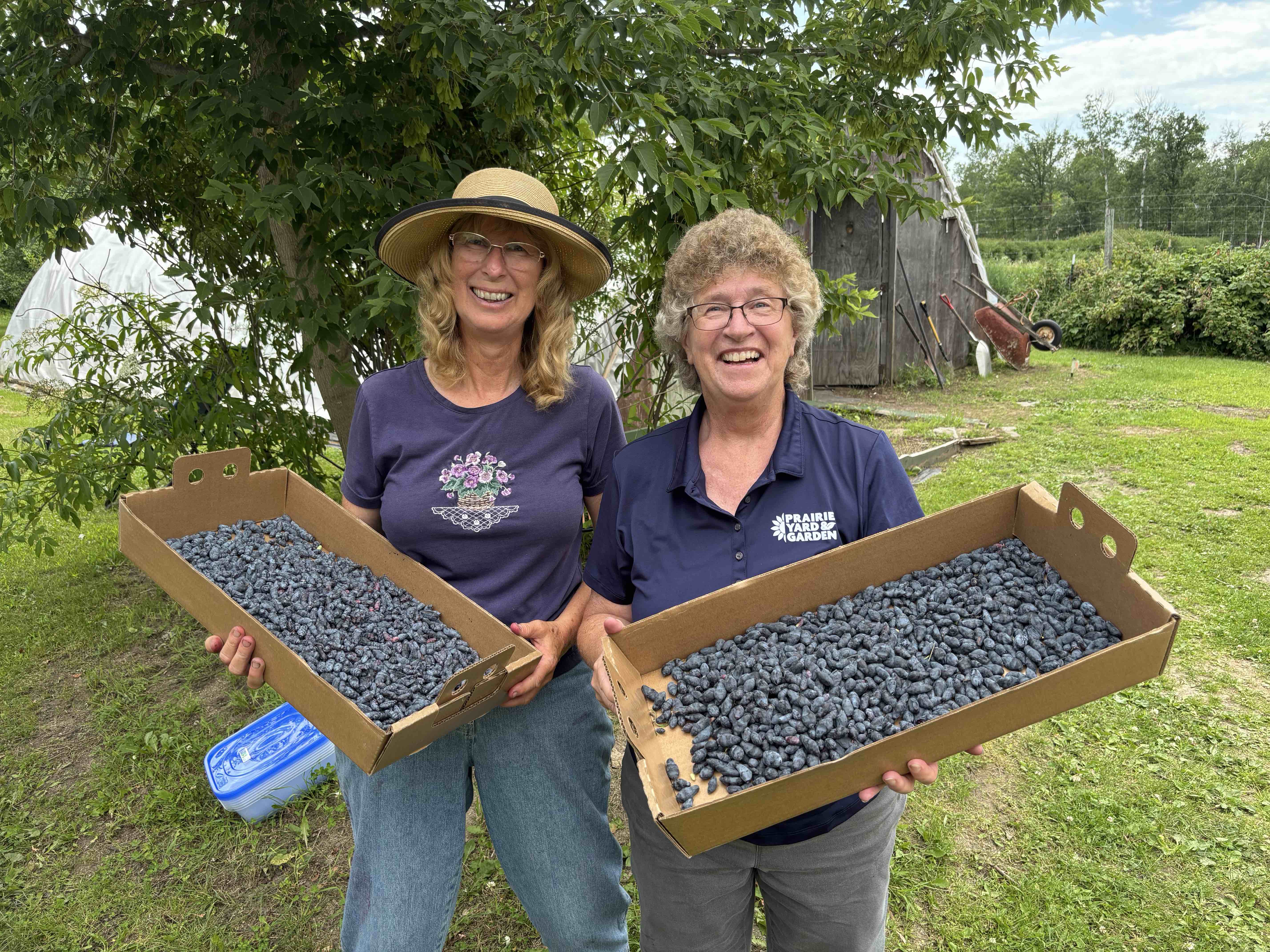 Prairie Yard & Garden Season 39: The Honeyberry Farm – Bagley - March 5 at 7:30 p.m.
