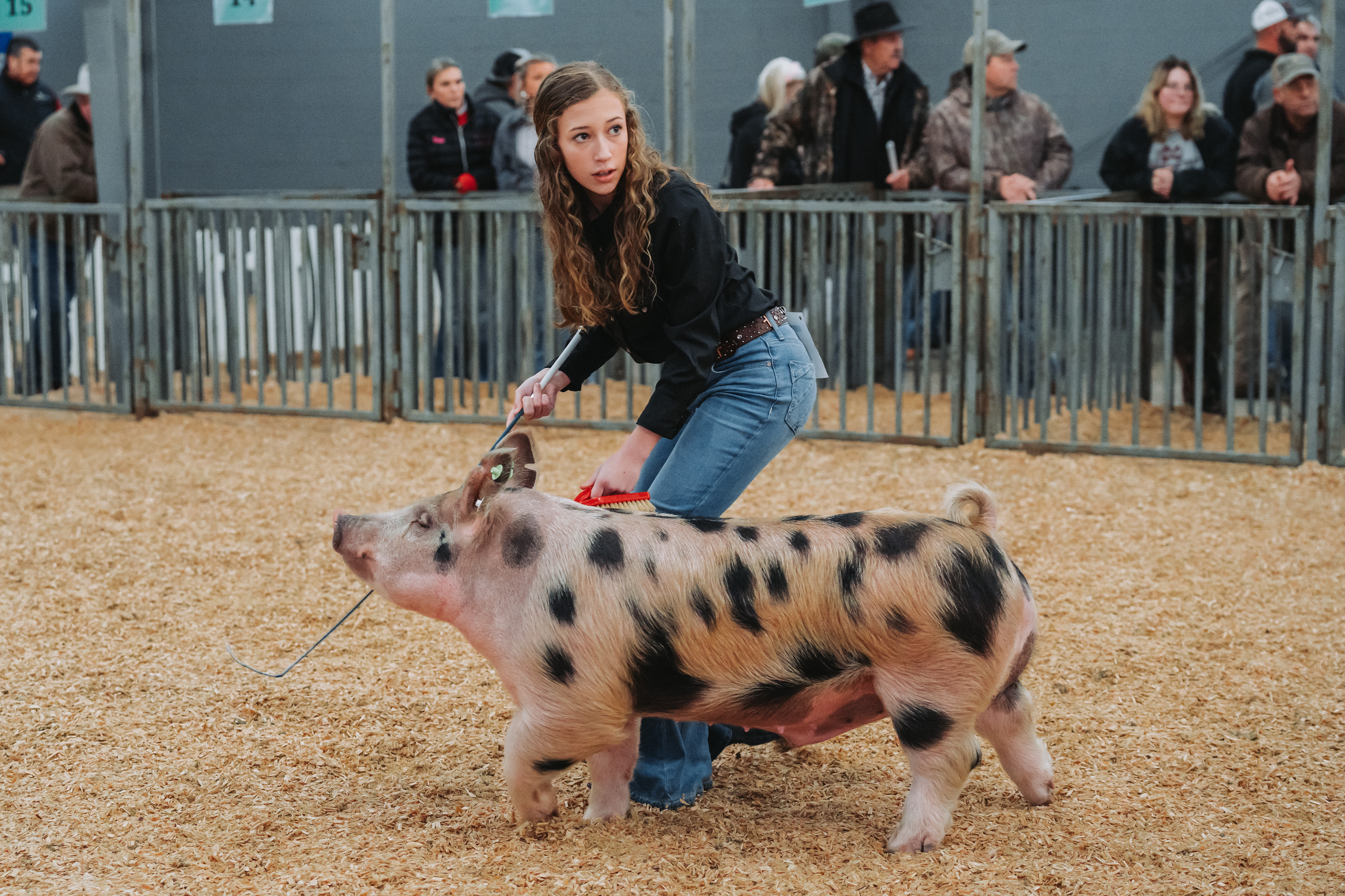 Barrel racing, roping and livestock: the Dixie National Rodeo is in ...
