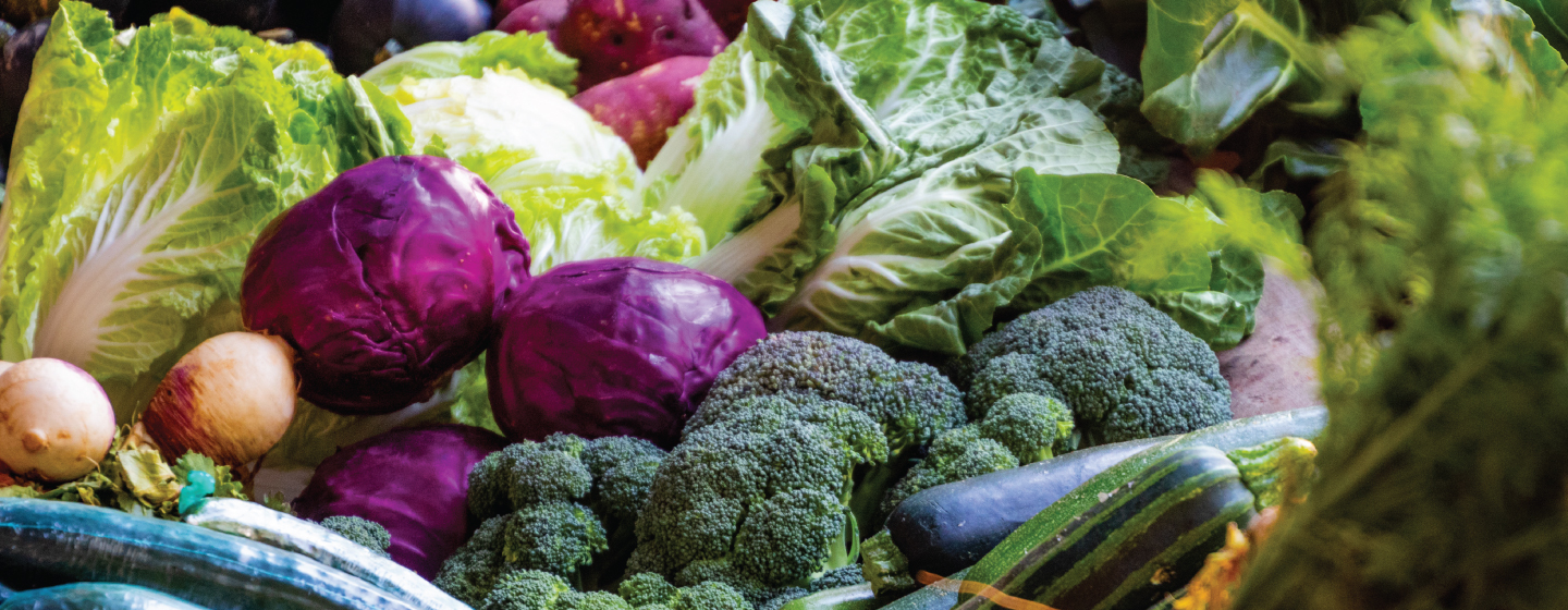 Variety of colorful vegetables