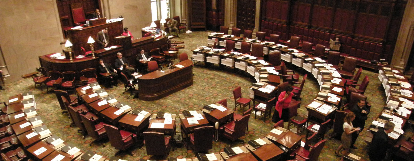 New York State Senate Floor