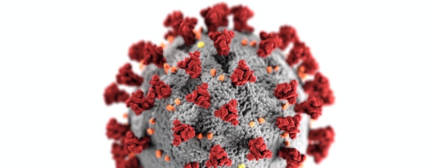 CDC Coronavirus image