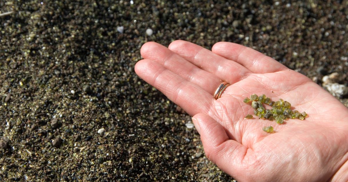Unique Climate Change Project on NC Coast Begins | PBS North Carolina