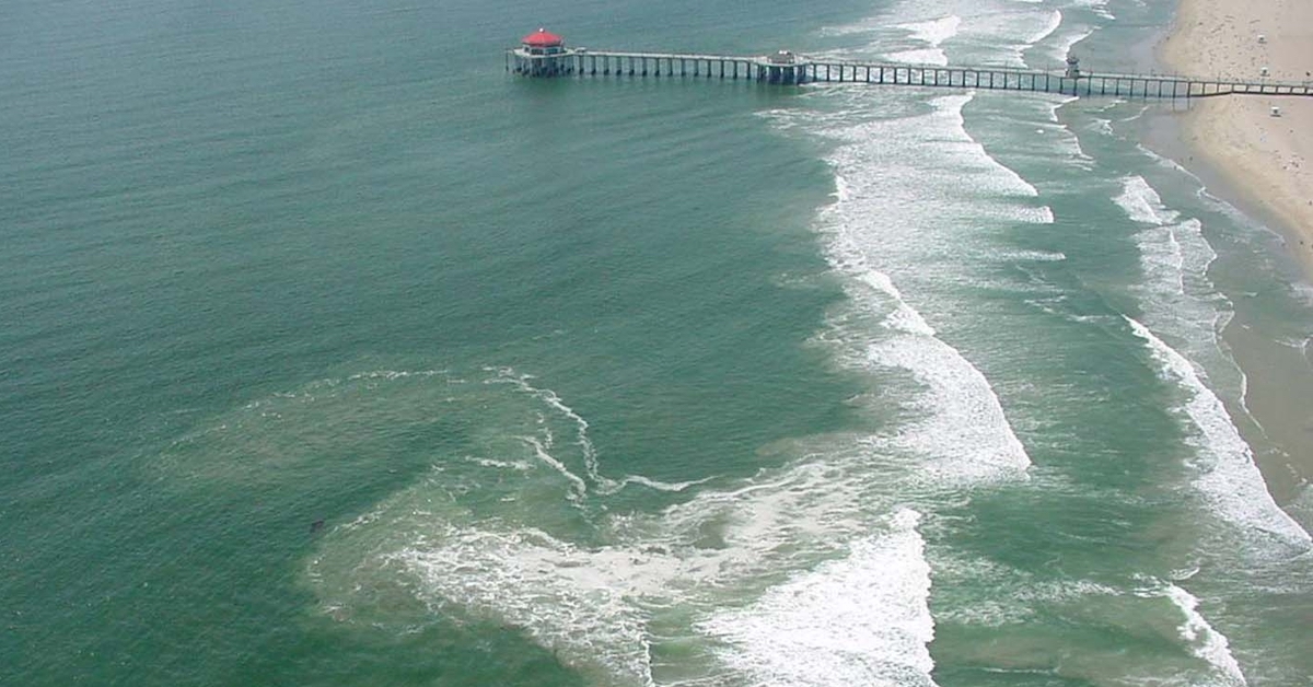 Rip Currents are Dangerous. Can we Predict Them? | PBS North Carolina