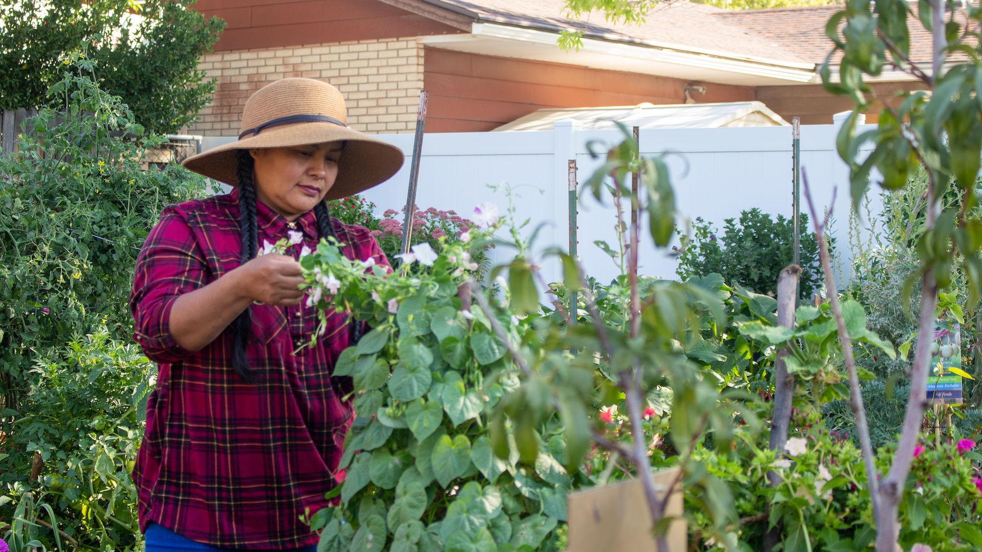 Conexión a través de la jardinería, image size:1920x1080