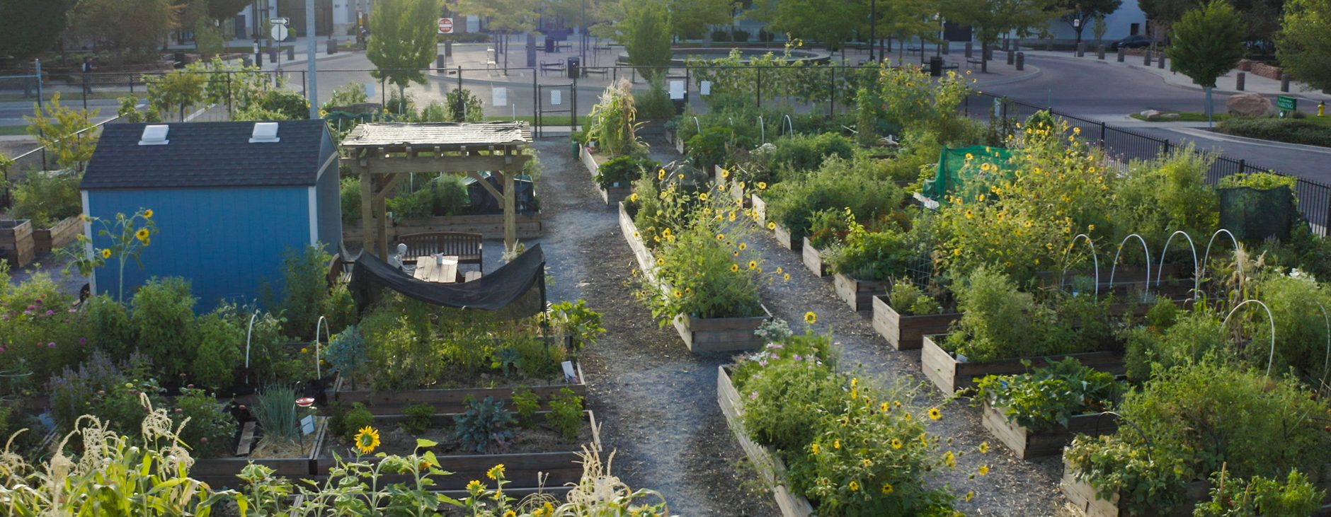 What is a Community Garden?, image size:1880x731