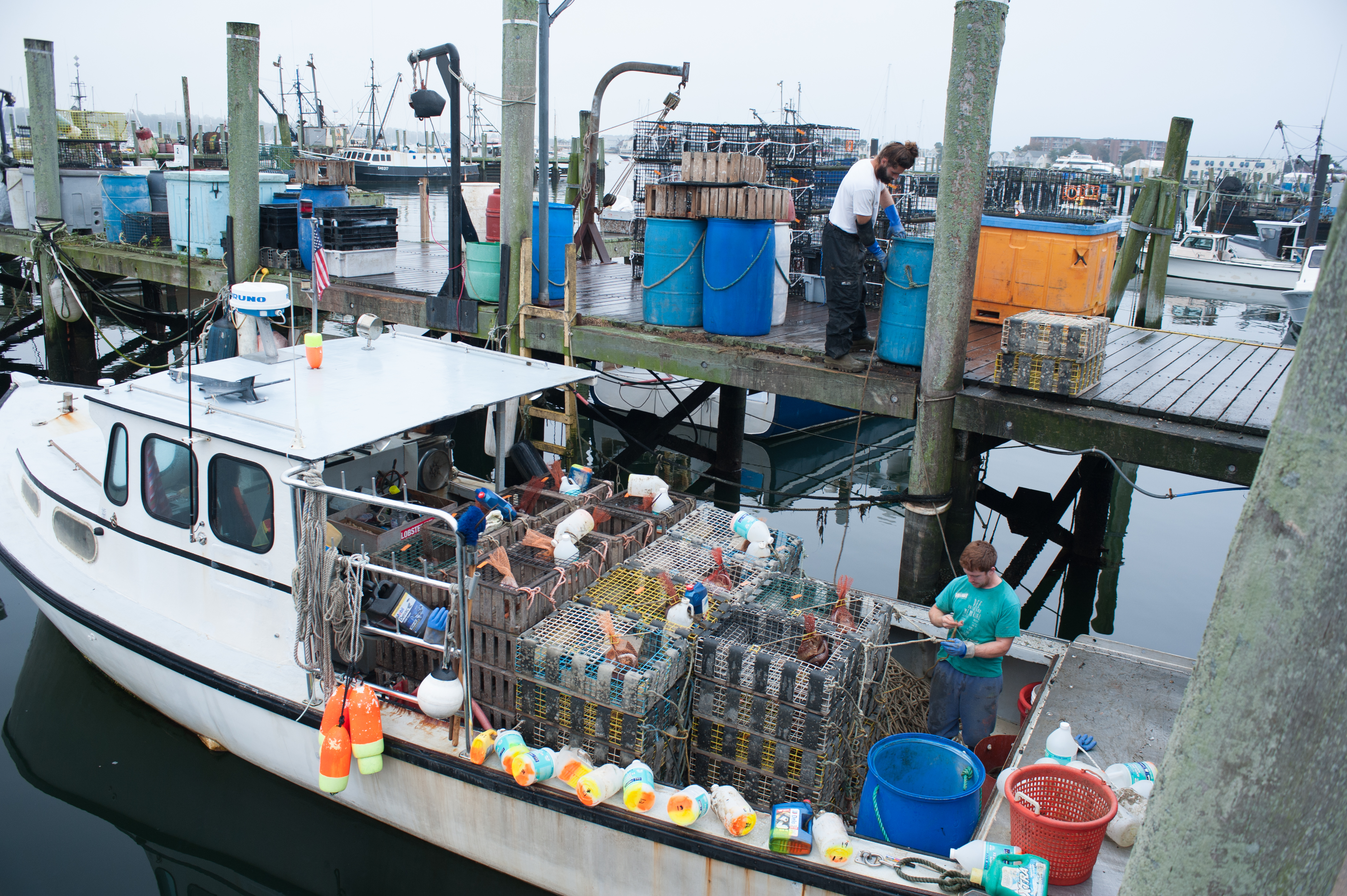 Image - DSC_3659.jpg
