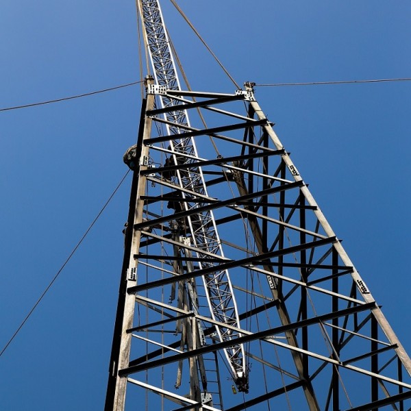 Image - ginpole-3-1-600x600.jpg
