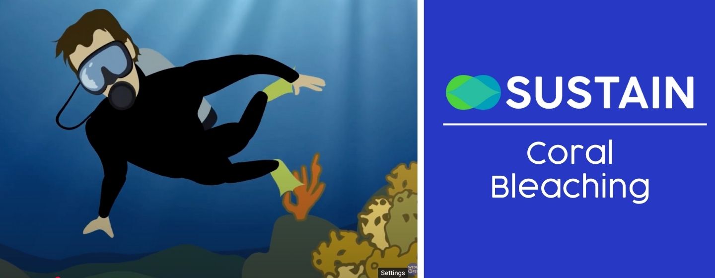 Cartoon image of a man in a wetsuit, snorkeling through coral reefs