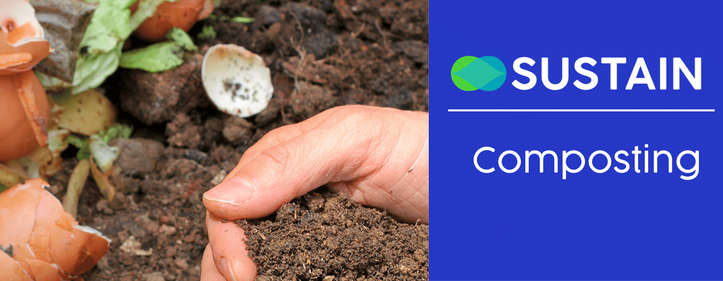 Food scraps in a compost pile