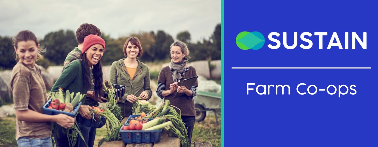 Members at a farm co-op sorting vegetables