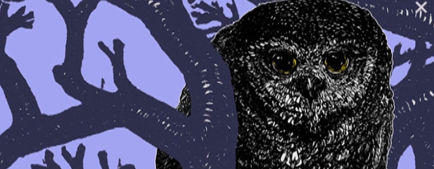 Owl digital collage work by artist Tate Klacsmann