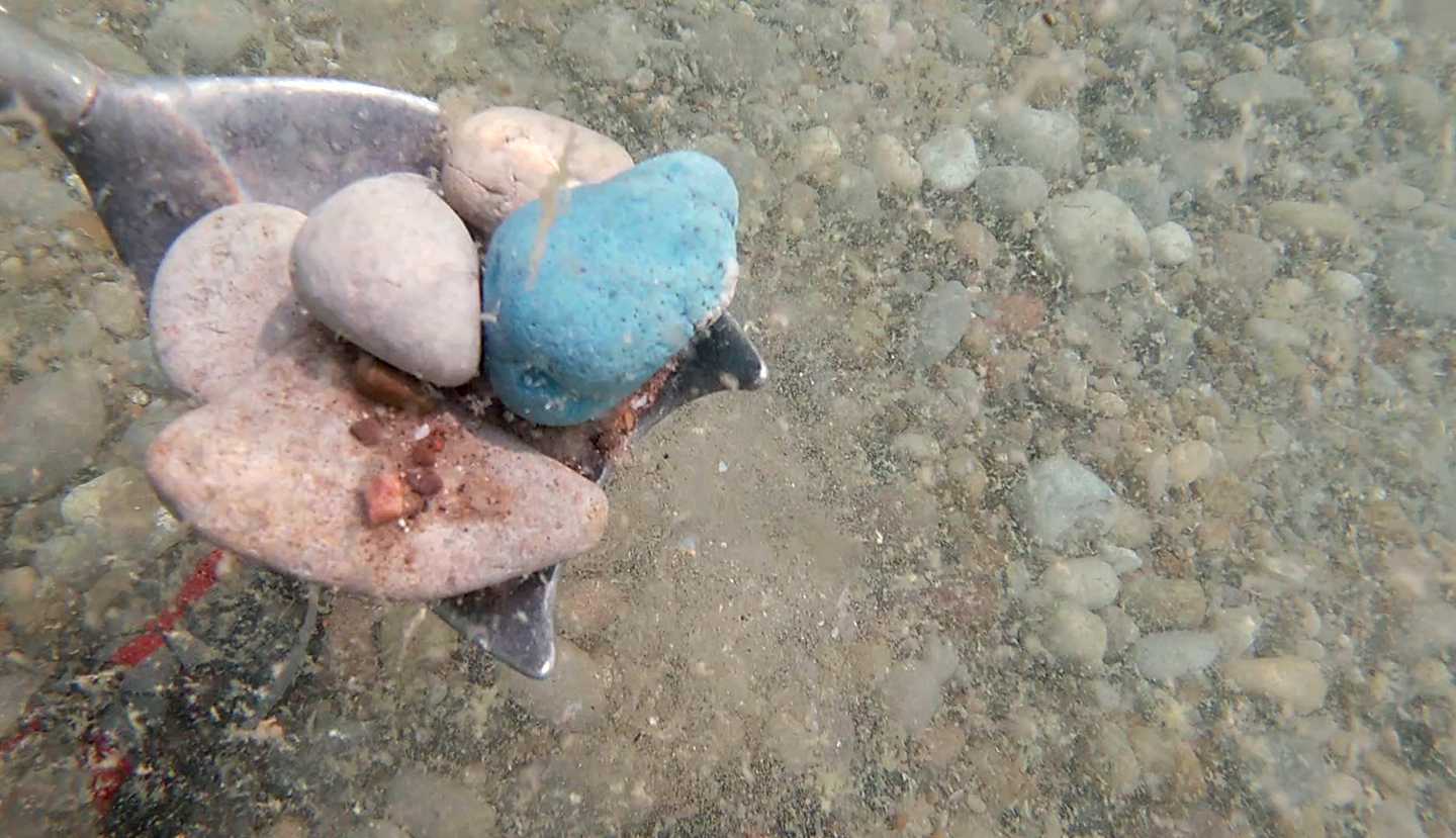 Great Lakes Now, Ancient Rocks, Tender Fruit | PBS Western Reserve