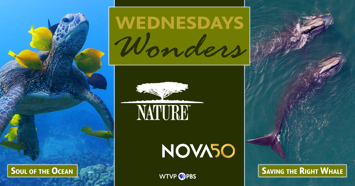 Nature & Nova June 2024