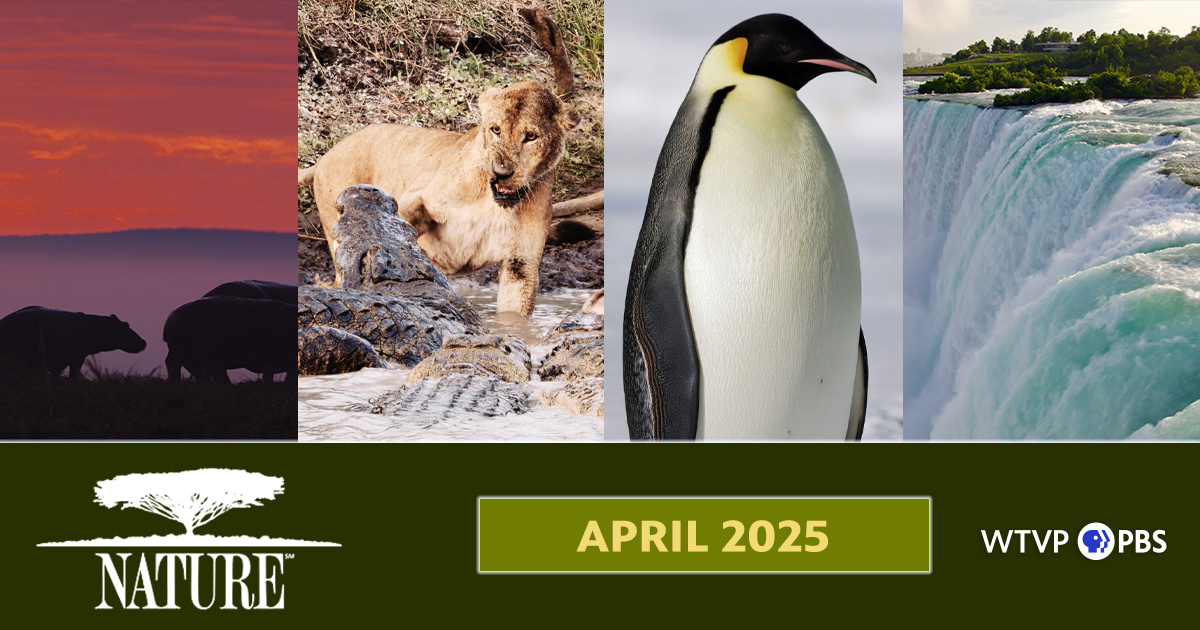 Nature | April 2025
